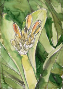poised II
(sold)